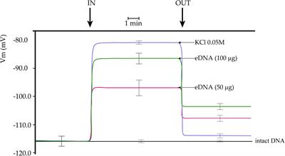 Extracellular Fragmented Self-DNA Is Involved in Plant Responses to Biotic Stress